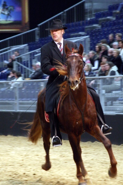 Pferd und Jagd 2008  077.jpg